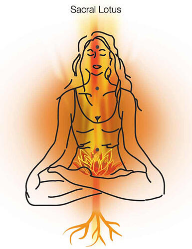 Sacral Lotus